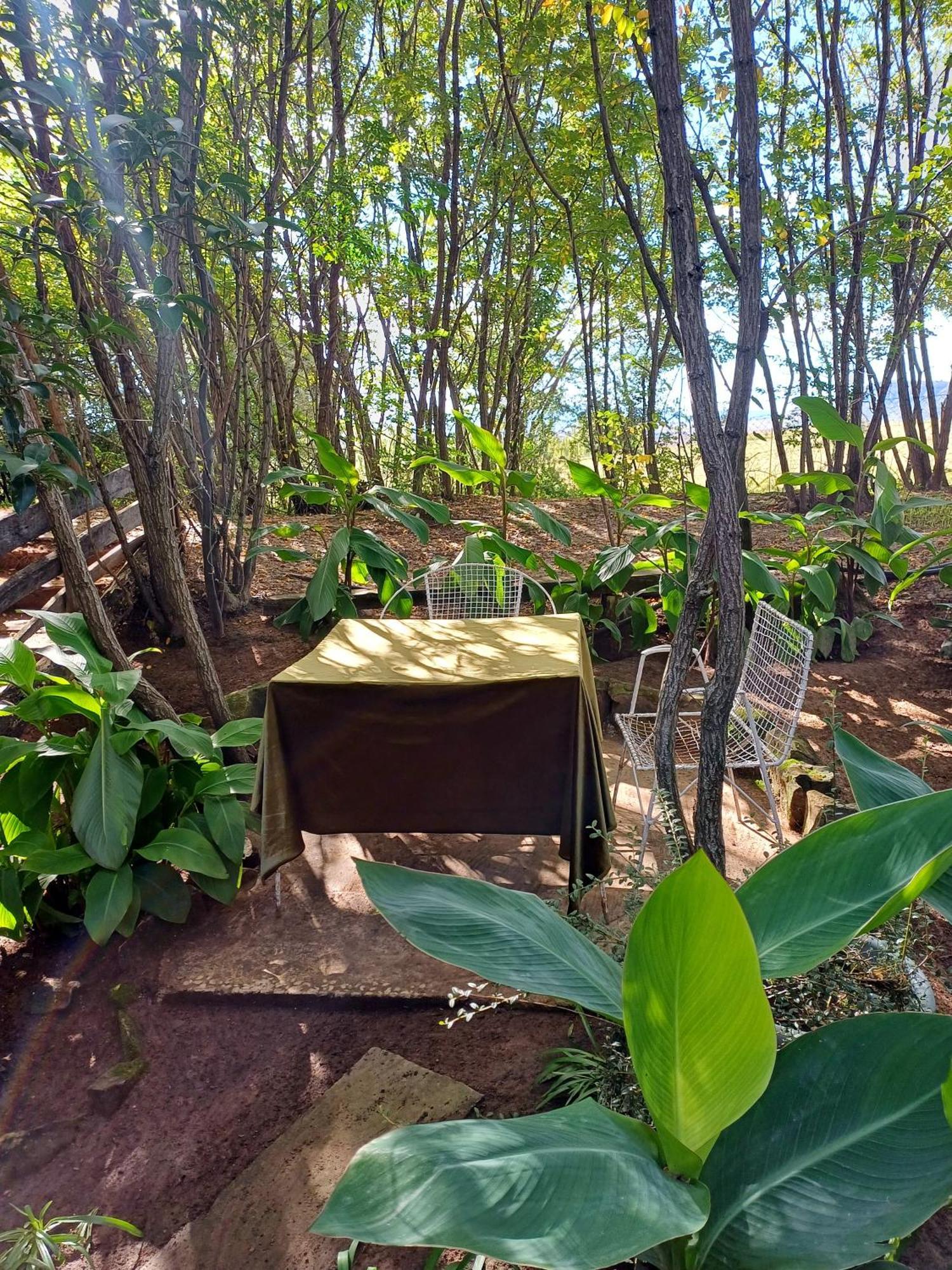 Affi Lande Boetiek Guestfarm Villa Fouriesburg Luaran gambar